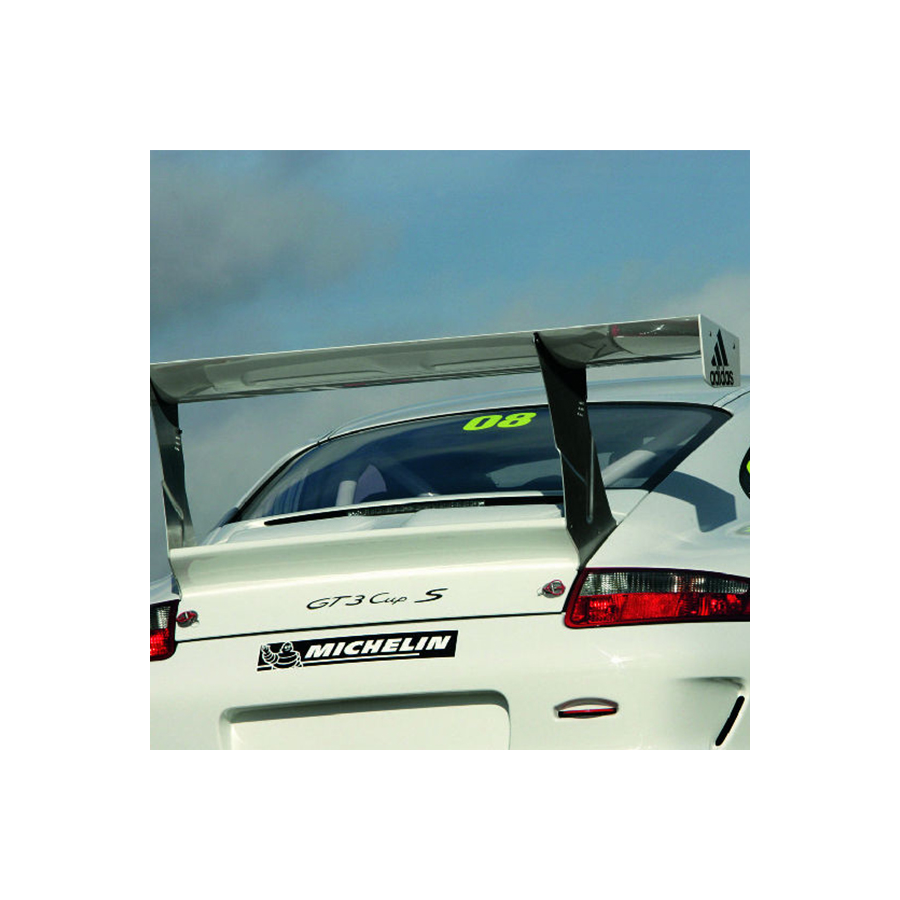 Lunette arrière Makrolon Porsche 997