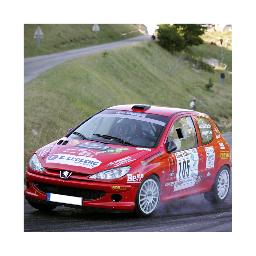 Vitre arrière latérale Makrolon Peugeot 206
