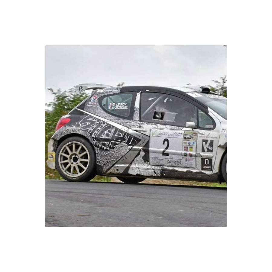 Vitre arrière latérale Makrolon Peugeot 207