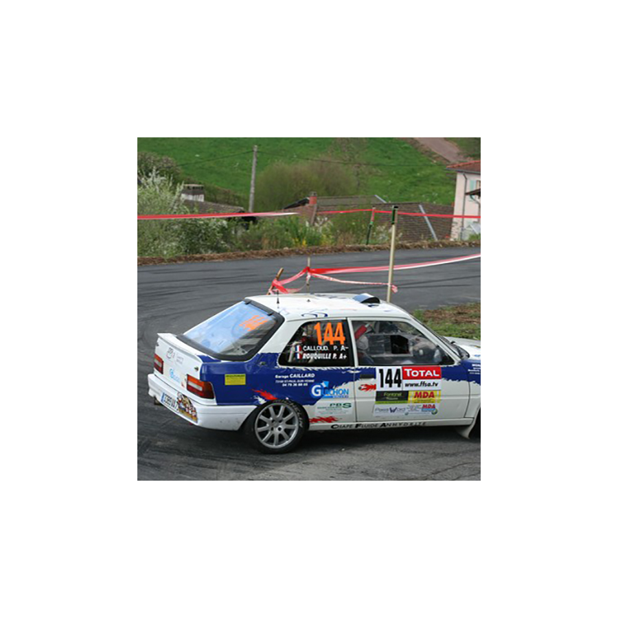 Vitre arrière latérale Makrolon Peugeot 309