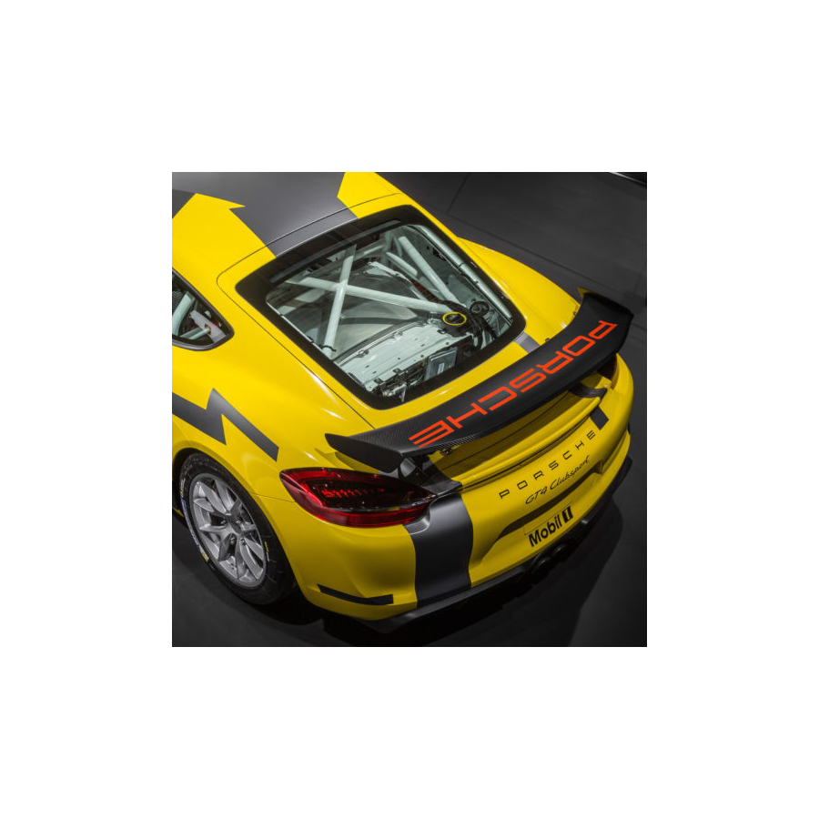 Lunette arrière Makrolon Porsche Cayman 981