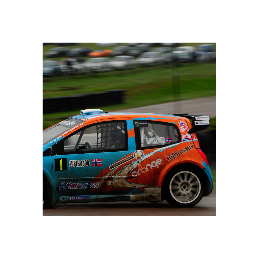 Vitre arrière latérale Makrolon Renault Twingo 2