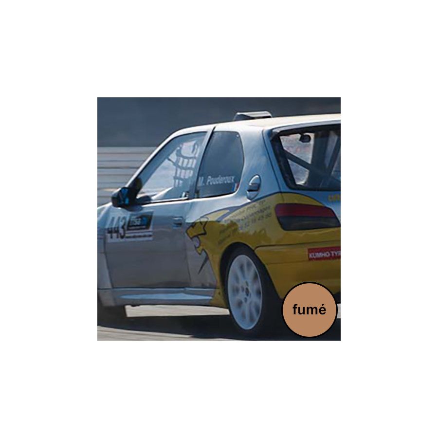 Vitre arrière latérale Makrolon Peugeot 306 - teinté fumé