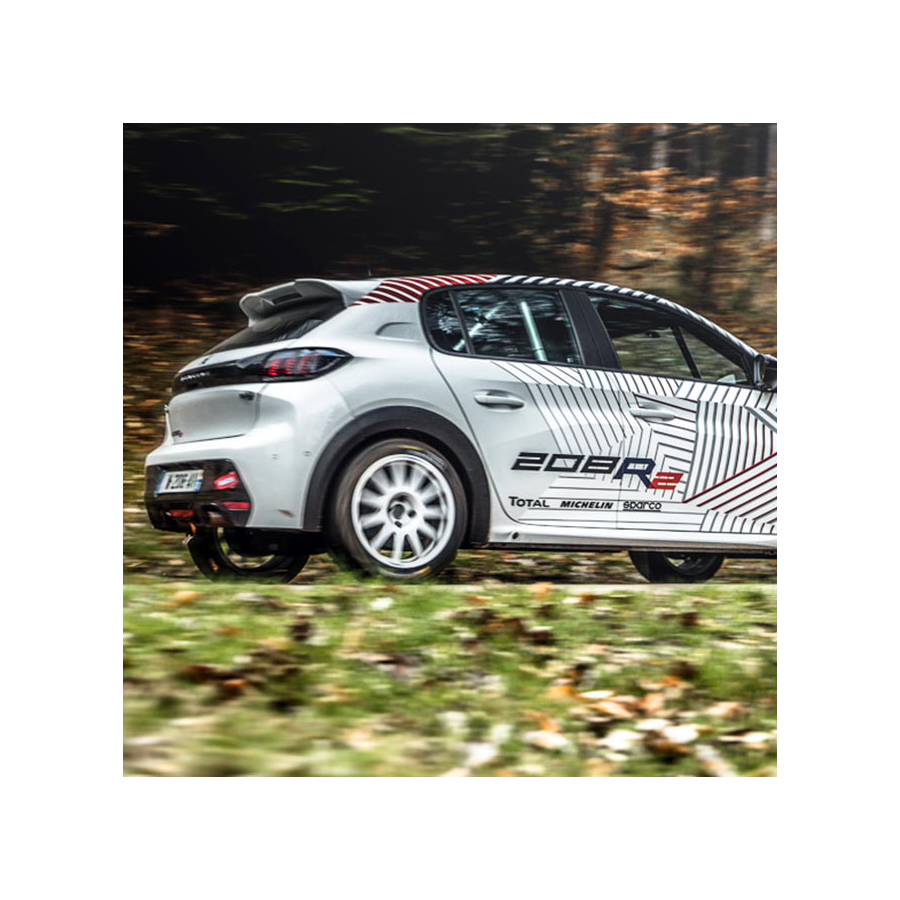 Lunette arri?re Makrolon Peugeot 208 