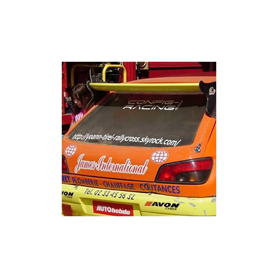 Lunette arrière Makrolon Renault Clio 3 RS (thermoformée)